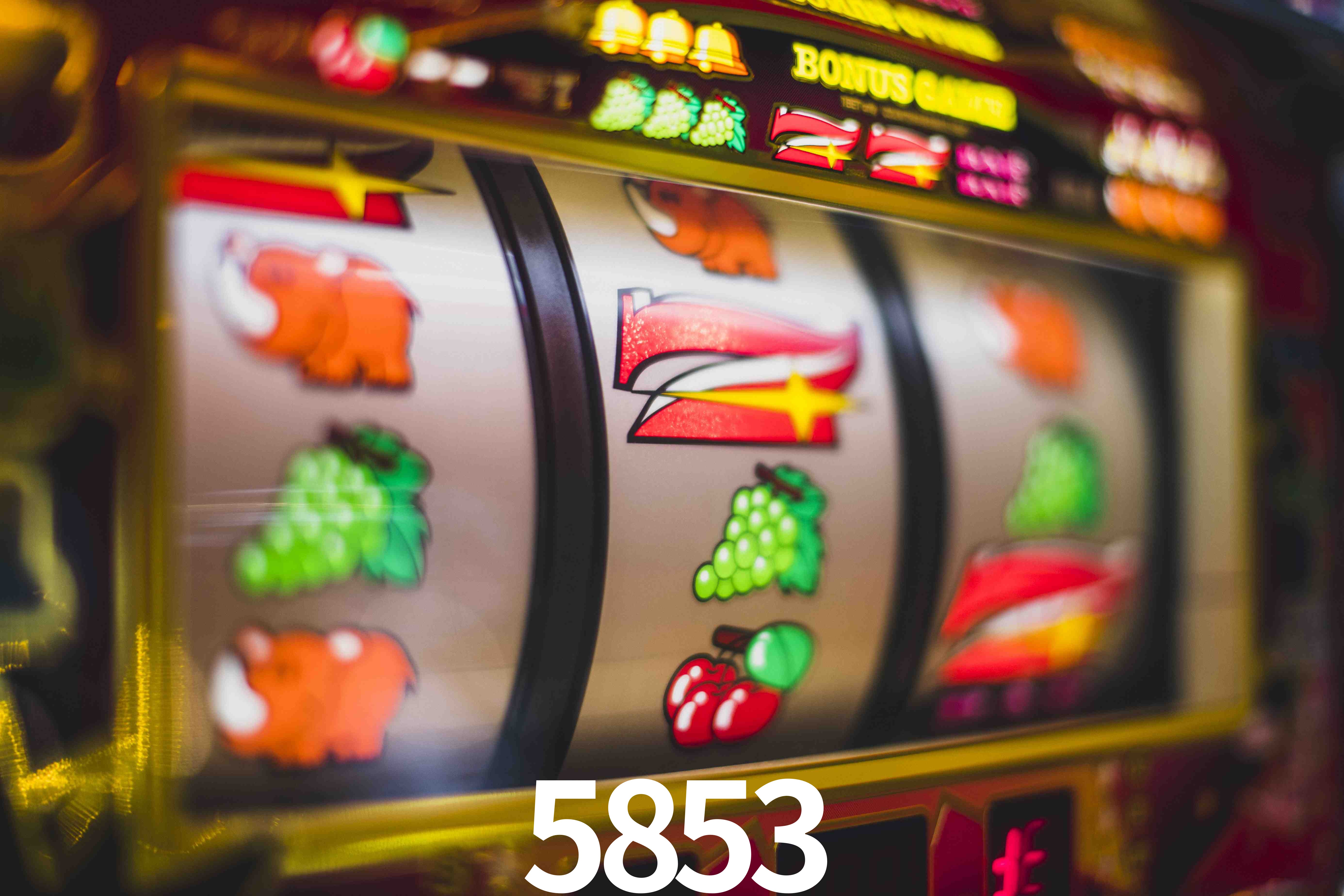 Basketball Betting 5853